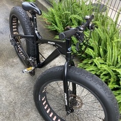 CANOVER GOLIATH ファットバイク26インチ