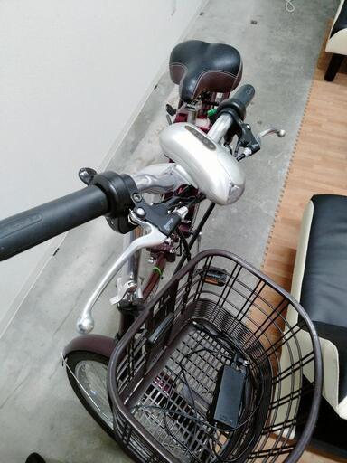 BONITA 20インチ折りたたみ電動自転車 | eatri.cl