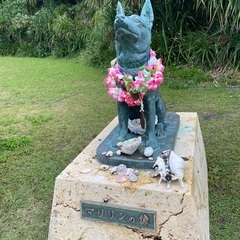 Okinawa  交流ほしいです！🌺