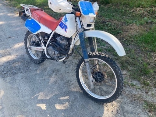 売れました！　HONDA XLR250 ホンダ　オフロード　バイク
