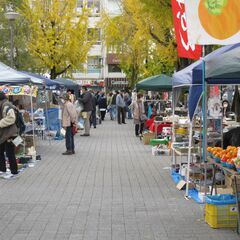 ９月１０月１１月姫路城前の大手前公園にてフリーマーケット開催。出...