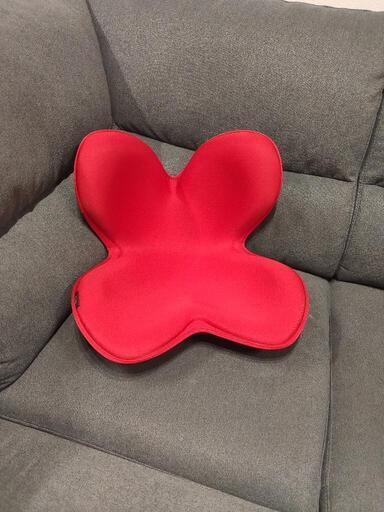 決定しました★【美品】Style ボディメイクシート