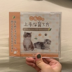 こねこの上手な育て方DVD