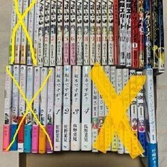 【配送料込み】少女漫画１２１冊（DVD付き）まとめ売り　※配送にてお送りします