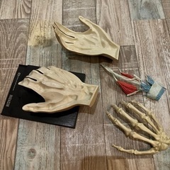 骨模型　セット　整体　接骨院　医療用　等身大