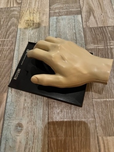 骨模型 セット 整体 接骨院 医療用 等身大 【公式通販】