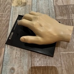 骨模型　セット　整体　接骨院　医療用　等身大