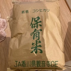 コシヒカリ　自家製　10キロ