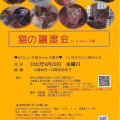 9/23　猫の譲渡会　by にゃんころ隊