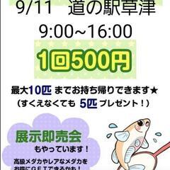 いよいよ明日9/11めだかすくい