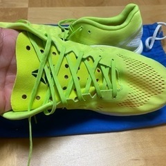 Reebok FLOATRIDERUNFAST PRO【手渡し希望者】