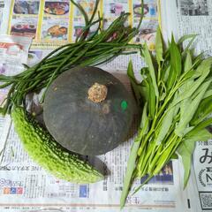 カボチャと野菜