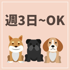 🐕扶養内OK🐕駅近でモクモク作業！犬用おやつの検品など