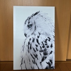 フクロウの壁掛け