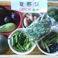 土日限定　野菜セット　1000円