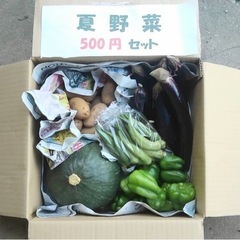土日限定　野菜セット　500円分