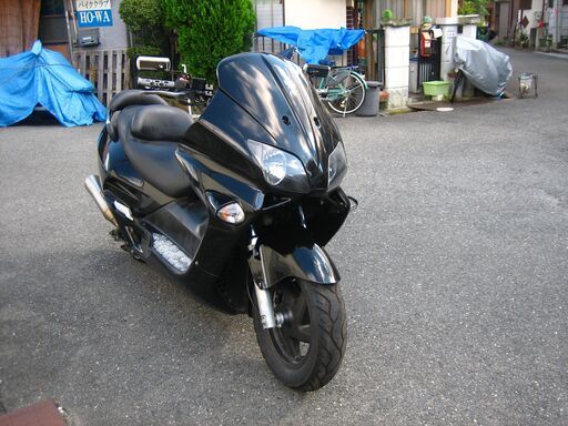 フォルツァ　美車　保険付き　動画有り フォルツァ 美車 保険付き 動画有り