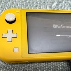 switch lite 64gbSD 充電アダプター付き