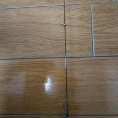 [最終値下げ]ニッシン磯竿　ゼロサム磯　弾X4 TYPE1-530