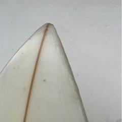 初心者もおすすめ！アルメリックCHANNEL ISLANDSショートボード5.6