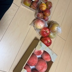 果物　4種