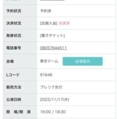 Justin Bieber 11月東京ドーム1枚