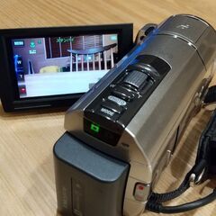 動作確認済 SONY HDR-CX590V ビデオカメラ ハンディカム 