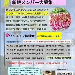 海浜幕張若葉地区にて学生さん、初心者フラダンス夜クラス開設♪ 