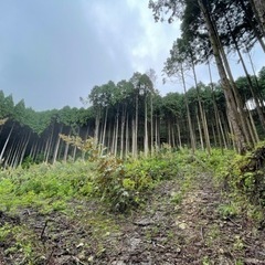 随時受付中！鹿児島狩猟体験（鹿笛を使ったコール猟体験あり） - イベント