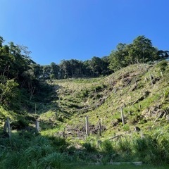 随時受付中！鹿児島狩猟体験（鹿笛を使ったコール猟体験あり） - ワークショップ