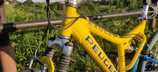 マウンテンバイク プジョーVTT-900