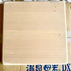 温泉母岩(イオンの湯)