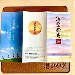 温泉母岩(イオンの湯)