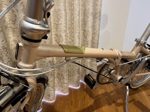 ダホン ボードウォーク2021 シルキーベージュ 