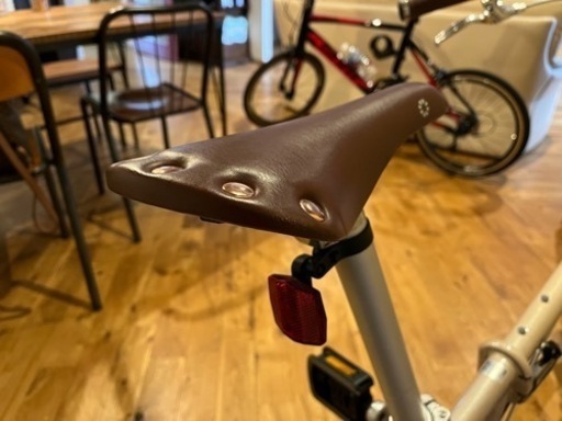 ダホン ボードウォーク2021 シルキーベージュ 