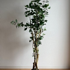 【NITORI】観葉植物、フェイクグリーンです。