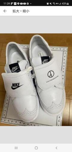 NIKE クウォンド1  25cm