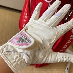 レディース  ゴルフ セット