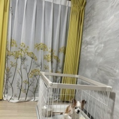 【中古】ウッディサークル PWSR-1260L ホワイト