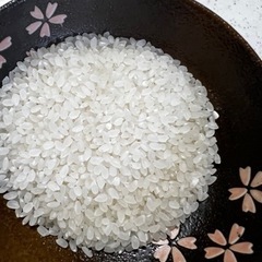 令和3年産　埼玉米　彩のかがやき　精米済み　30キロ