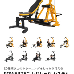 【引き取り限定】パワーテックレバレッジシステム　WB-LS20