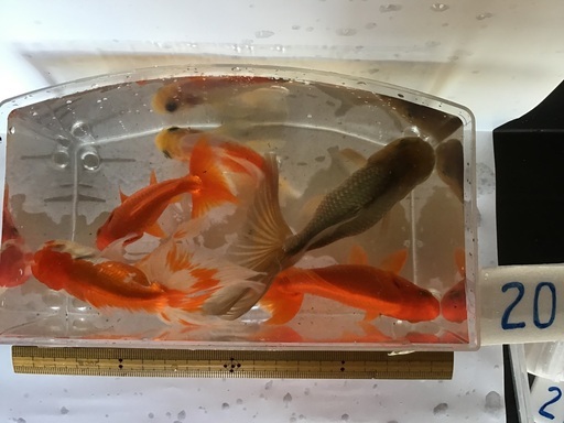 Om9aqs1vyzbl0m Om9aqs1vyzbl0m