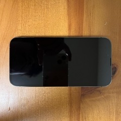 iPhone 13 Pro グラファイト 256 GB SIMフリー 