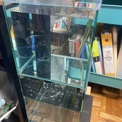 小型オーバーフロー水槽】JUN アクアキュート220
