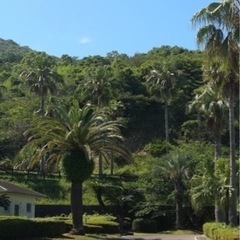 10月22日土曜日集まれグリーンパーク9時から16時 Sakamama 財光寺のフリーマーケットのイベント参加者募集 無料掲載の掲示板 ジモティー