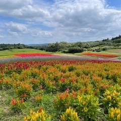 【9/24雨天中止】☆お気軽ツーリングメンバー募集☆