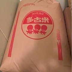 ⭐️限定1袋⭐️【令和3年産】多古米玄米　30キロ