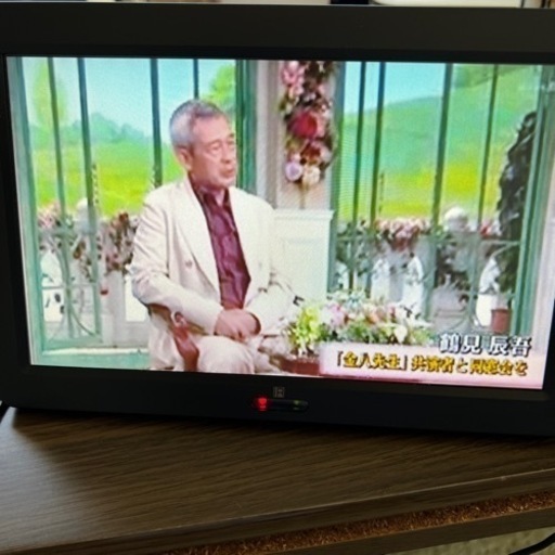 9インチ液晶地デジテレビ、ブースター付きアンテナセット