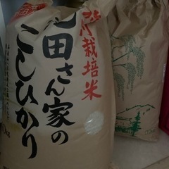 お米　10kg 2袋　20kg