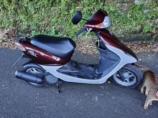 ホンダスマートデエオ…AF56型
